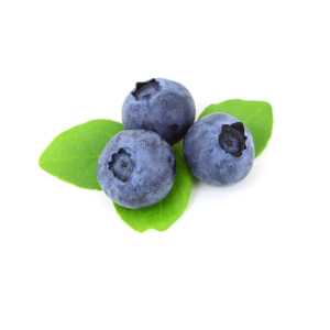 Borówka Amerykańska